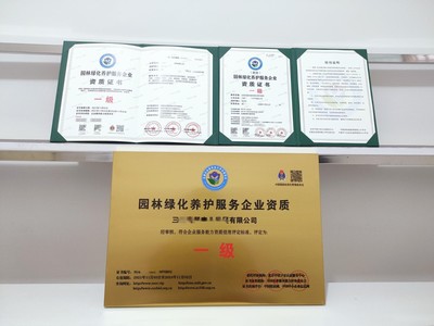 上海市企業一站式代辦服務 營業執照、務代碼證、財務咨詢與代理記賬全解析